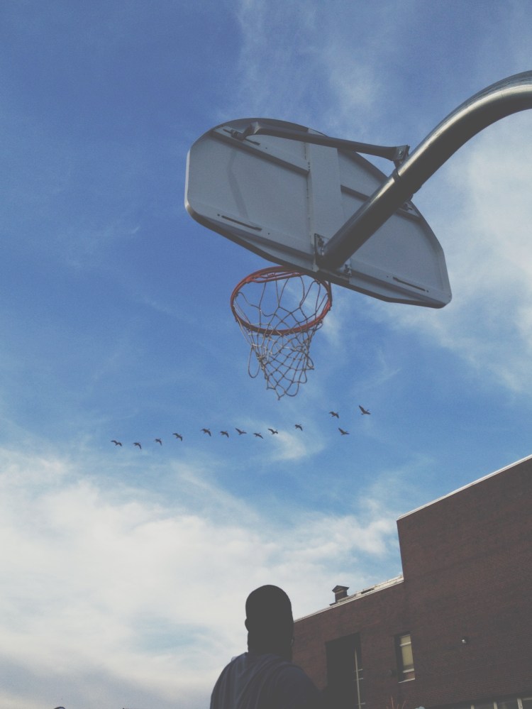 Processed with VSCOcam with t1 preset