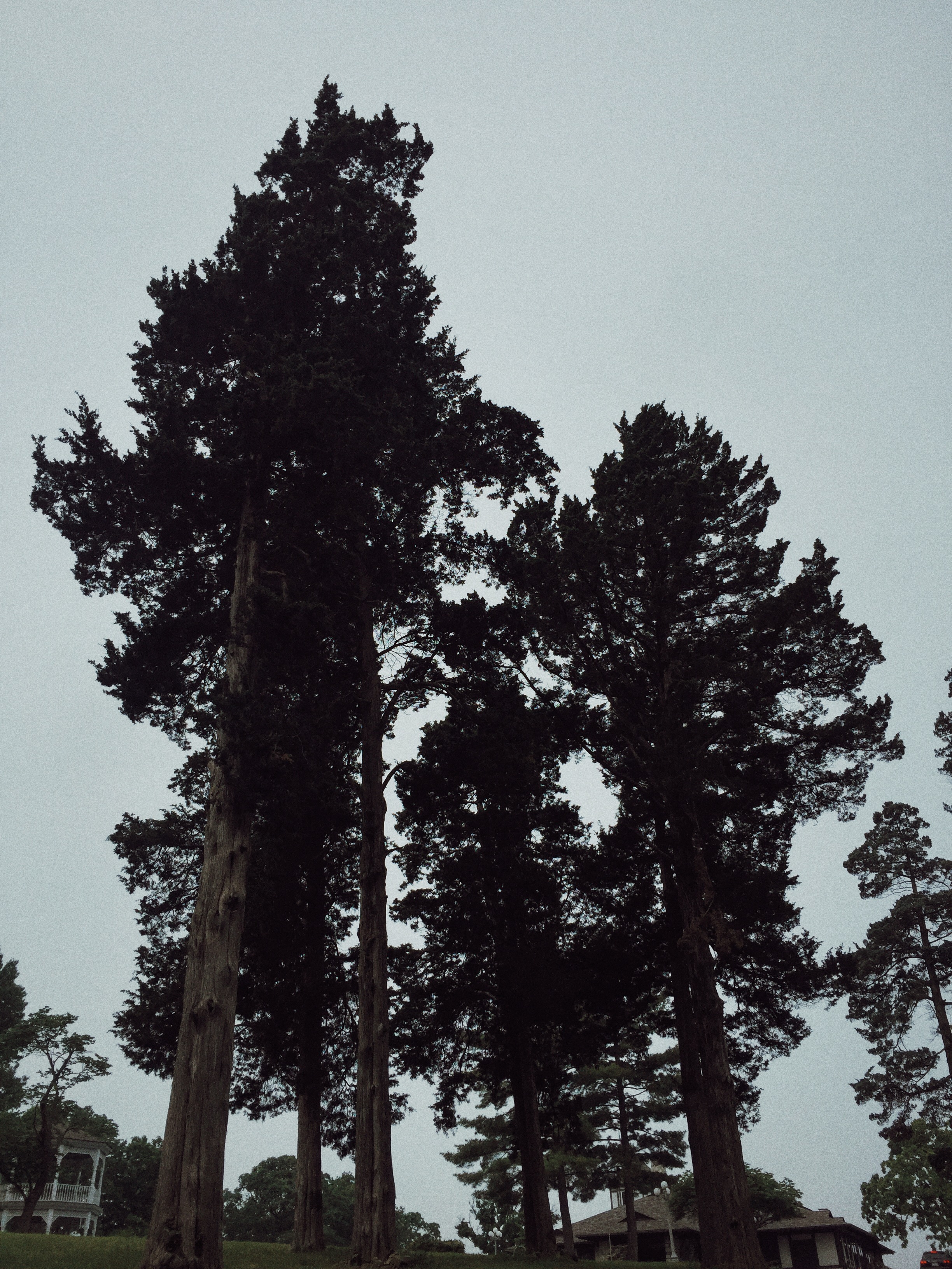 Processed with VSCOcam with j5 preset